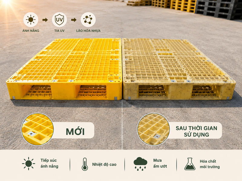 Nguyên nhân pallet nhựa bị phai màu và cách hạn chế