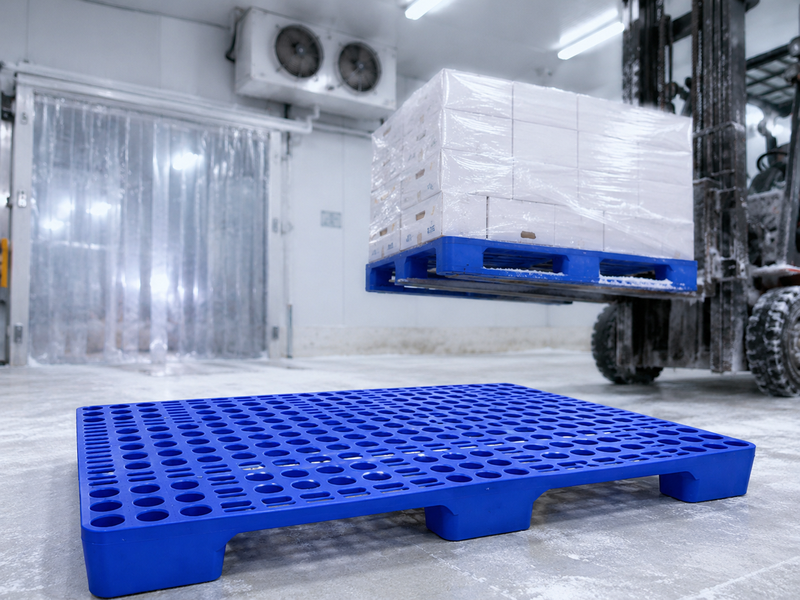 Khả năng chịu lạnh của pallet nhựa trong kho đông và kho lạnh sâu