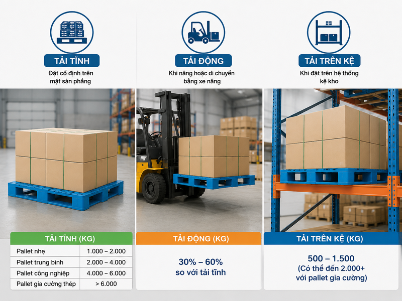 Khả năng chịu tải của pallet nhựa theo từng loại và ứng dụng