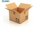 Thùng Carton