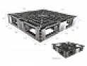 Pallet nhựa xuất khẩu