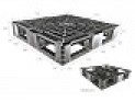 Pallet nhựa xuất khẩu