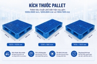 Kích thước pallet tiêu chuẩn là bao nhiêu