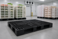 Pallet nhựa thực phẩm xuất khẩu cần tiêu chuẩn gì