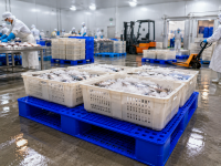 Pallet nhựa dùng trong ngành thủy sản như thế nào