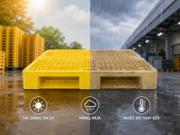 Pallet nhựa có bị phai màu theo thời gian không