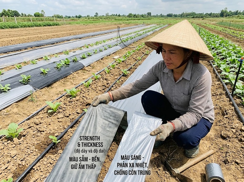 Cách chọn màng PE phủ đất theo màu và độ dày